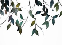 Branch Study n° 33, peinture à l'aquarelle botanique minimaliste originale sur papier