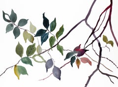 Branch Study No. 25, Original Minimalist Botanical Watercolor Painting on Paper