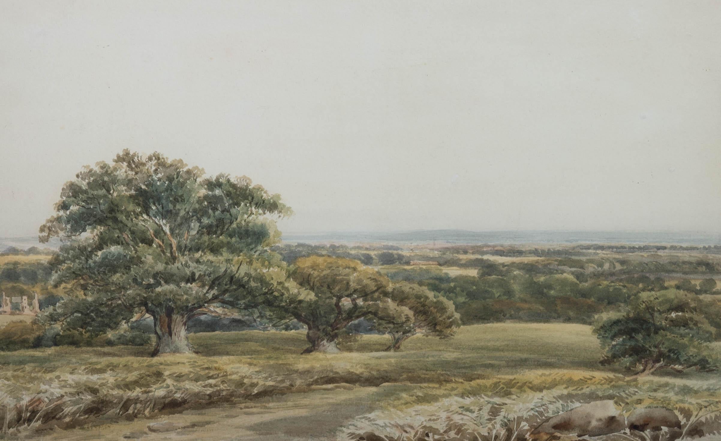 David Hall Mckewan Landscape Art - David Hall McKewan (1816-1873) - Watercolour, Bradgate Park Leicestershire