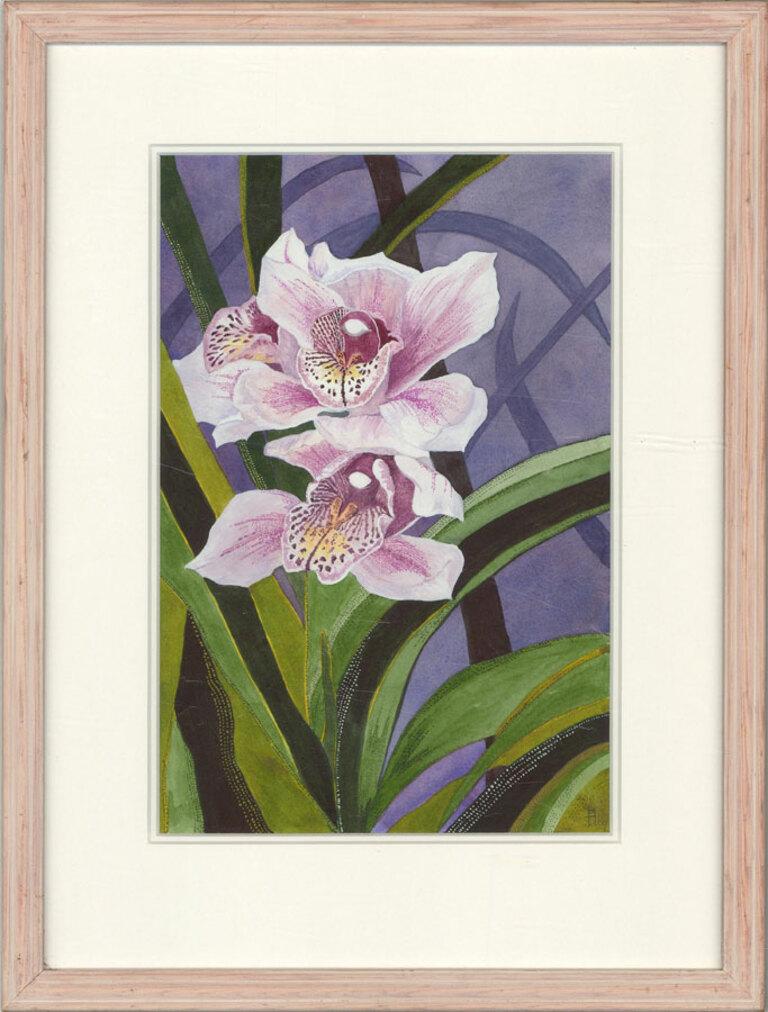 Pat Hall - 2009 Watercolour, Orchids 1