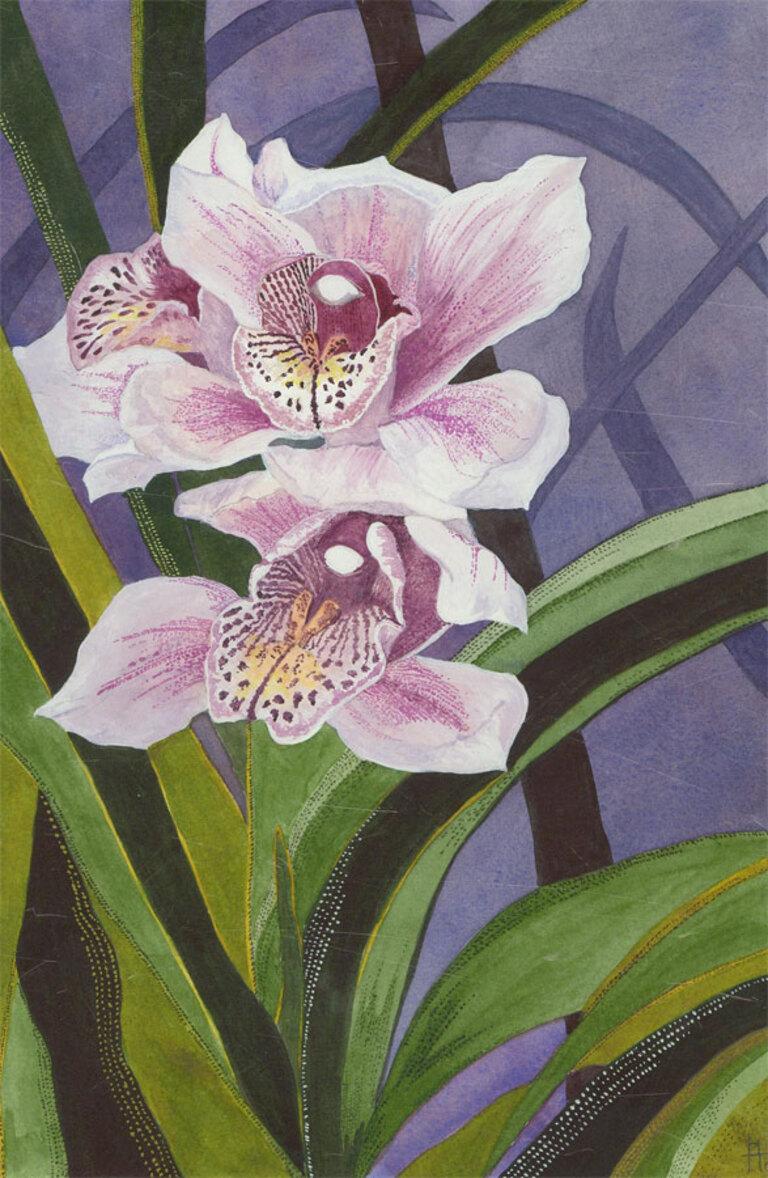 Pat Hall - 2009 Watercolour, Orchids 2
