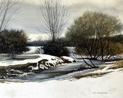 Half Frozen, Painting, Watercolor on Watercolor Paper
