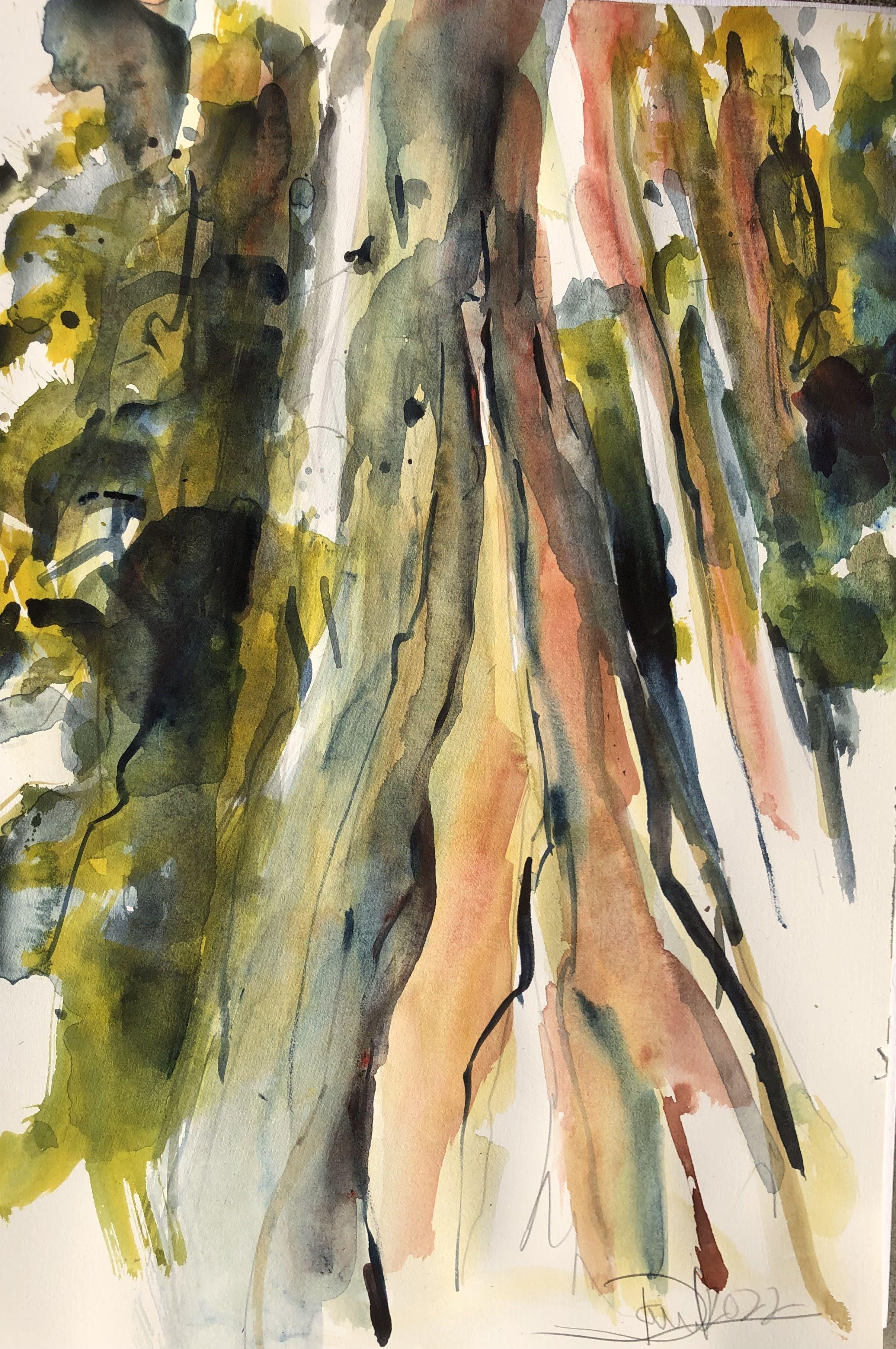Redwoods, Contea di Humboldt, Pittura, Acquerello su carta acquerellata - Art di Daniel Clarke