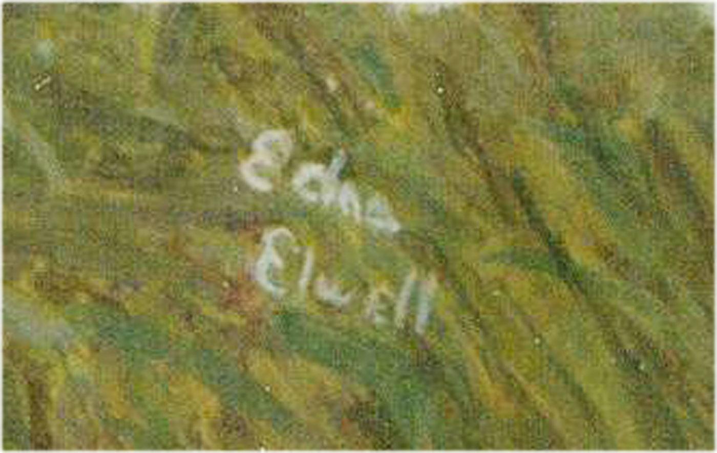 A vibrant full length portrait of a young women, walking her dog through a field of dandelion on a blustery summers day. The artist has signed to the lower right-hand corner. inscribed to the reverse of the painting is the sitters name, Jennifer