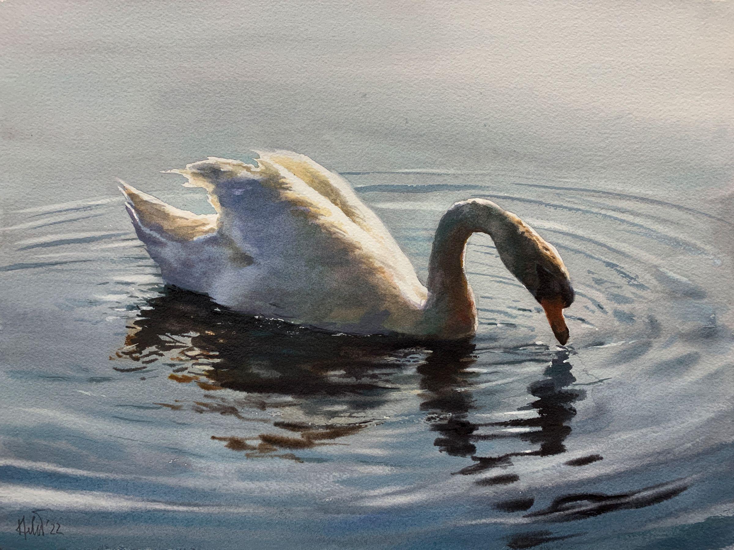 Swan_01, Painting, Watercolor on Watercolor Paper - Art by Helal Uddin