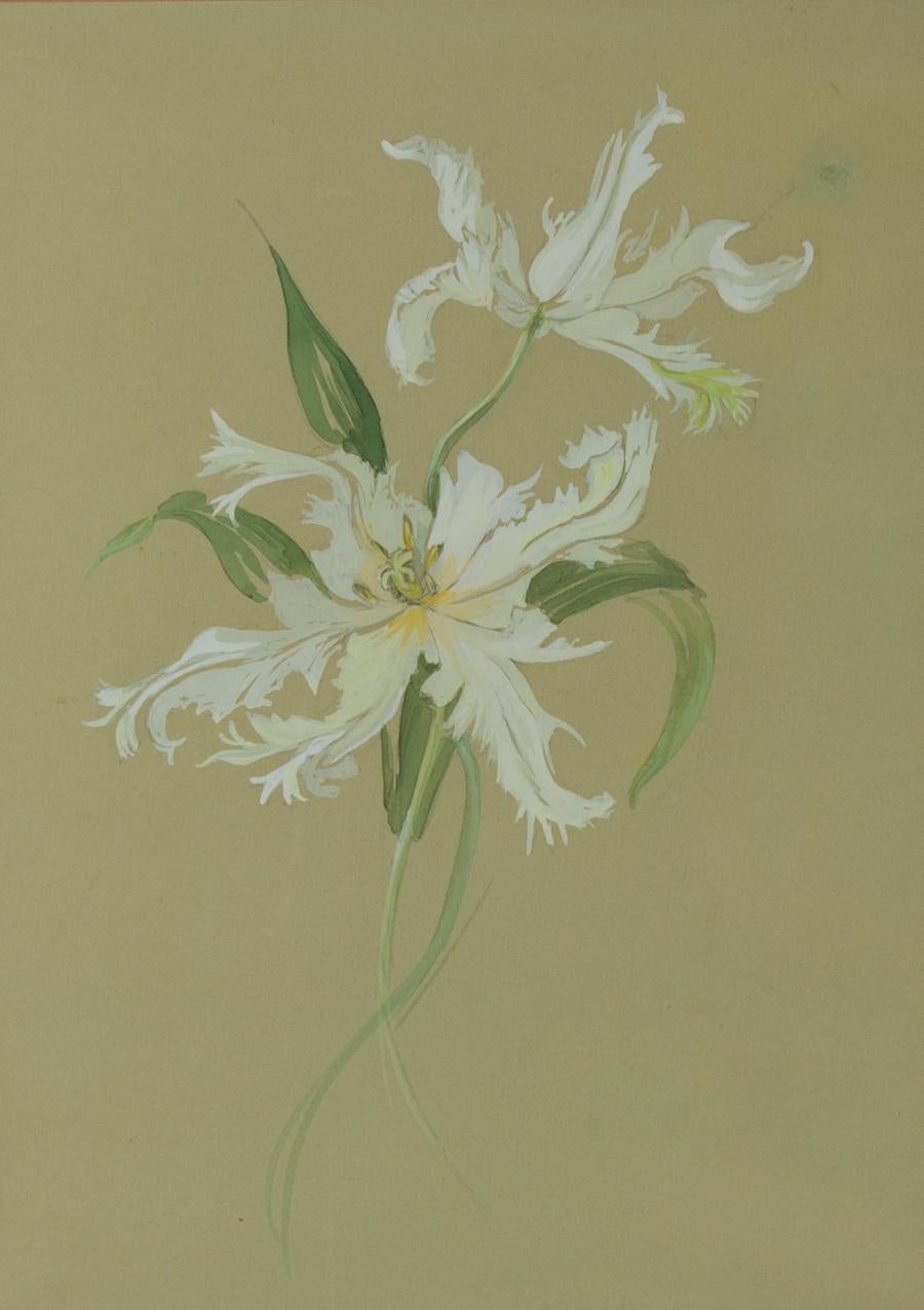 Mitte des 20. Jahrhunderts Aquarell - Blumenstudie – Art von Unknown