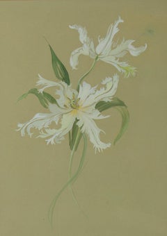 Mid 20th Century Watercolour - Floral Study