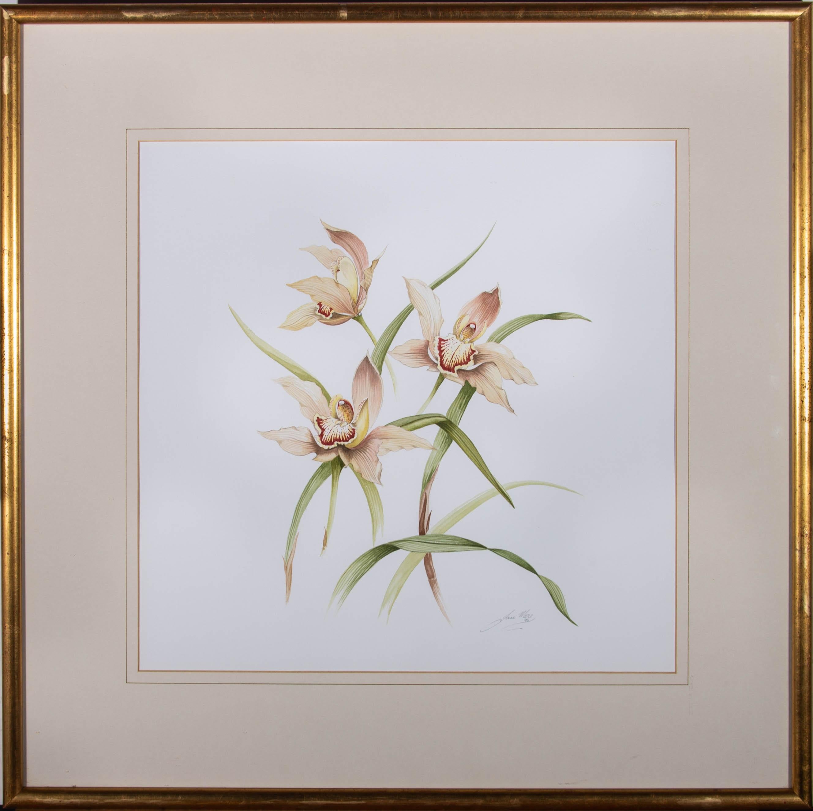 A very finely detailed botanical study of orchids in watercolour. The artist has signed and dated to the lower right and the painting has been presented in a simple gilt frame with card mount. There is a full biography of the artist attached at the