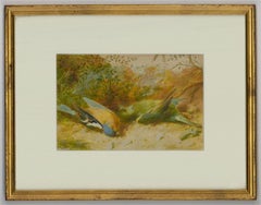 W. Cruikshank - 1865 Watercolour, Two Dead Finches