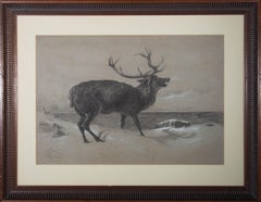 Antique Godman - 1888 Charcoal Drawing, Stag In The Snow