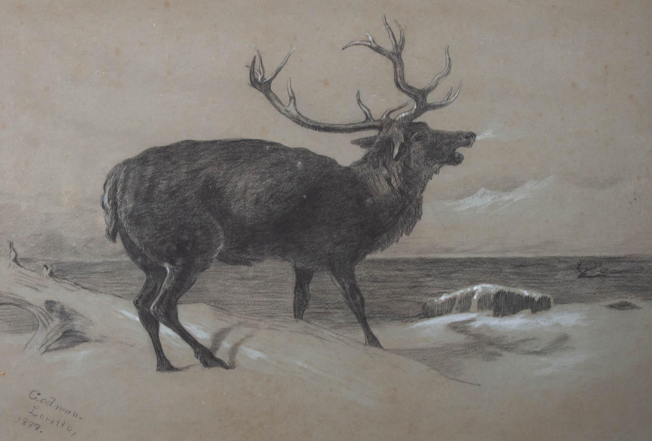 Godman - 1888 Kohlezeichnung, Hirsch im Schnee, Hirsch im Schnee im Angebot 1