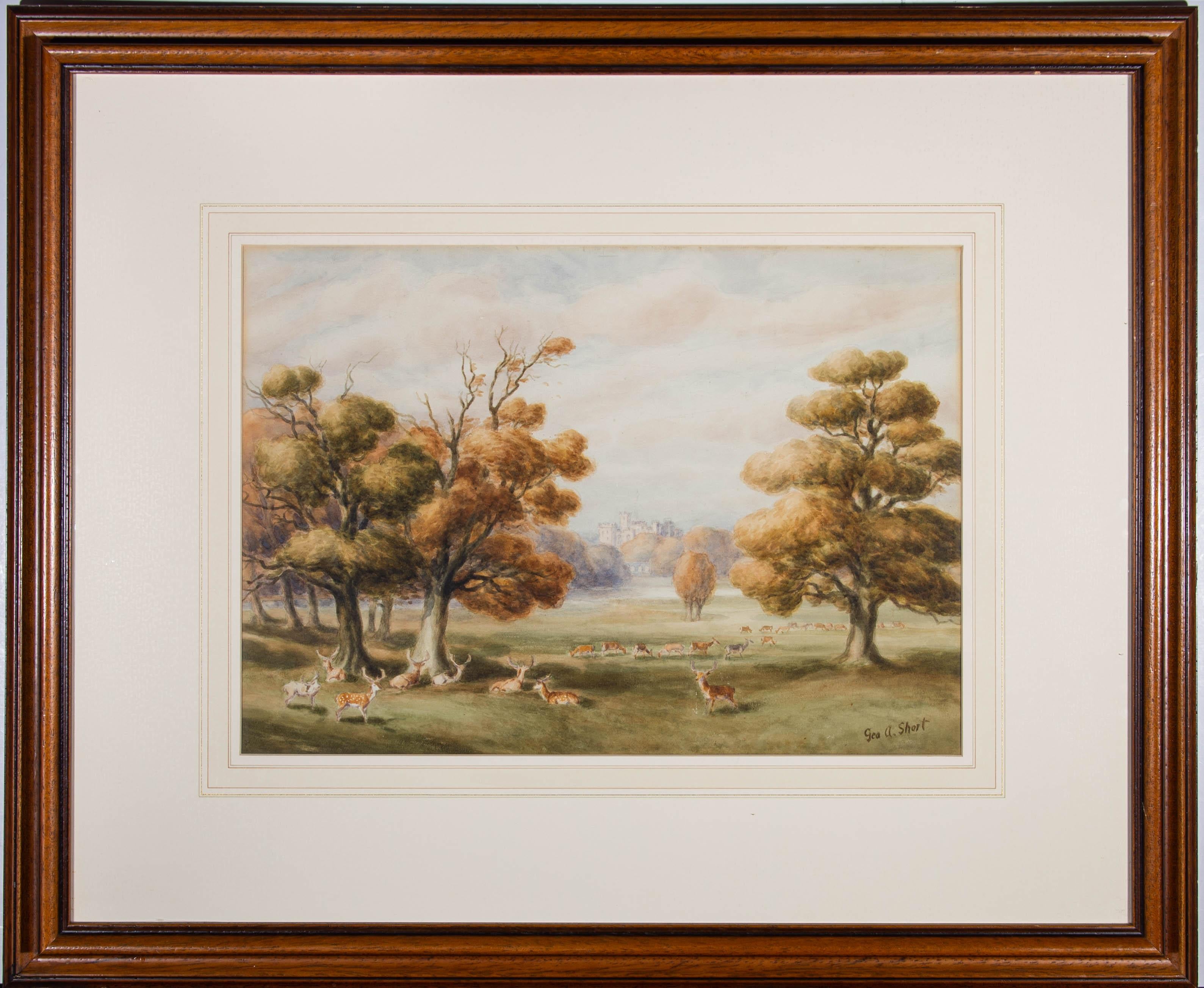 A fine parkland view of the grounds of Belvoir castle in Rutland. The trees are an Autumnal brown and herds of deer roam the grassy meadows. The artist has signed to the lower right and the drawing has been presented in a substantial wood frame with