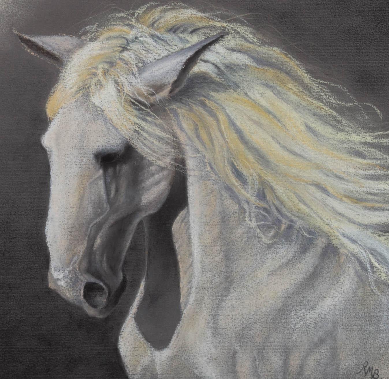 An ethereal equine portrait showing a white horse with mane flowing in the breeze. The artist has initialed to the lower right corner and the portrait has been presented in a contemporary white frame with card mount. The artist's card is at the