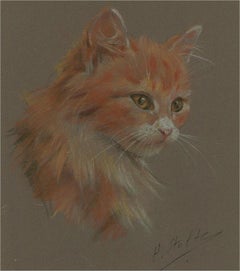 Sally Trueman - 20th Century Pastel, Ginger Kitten