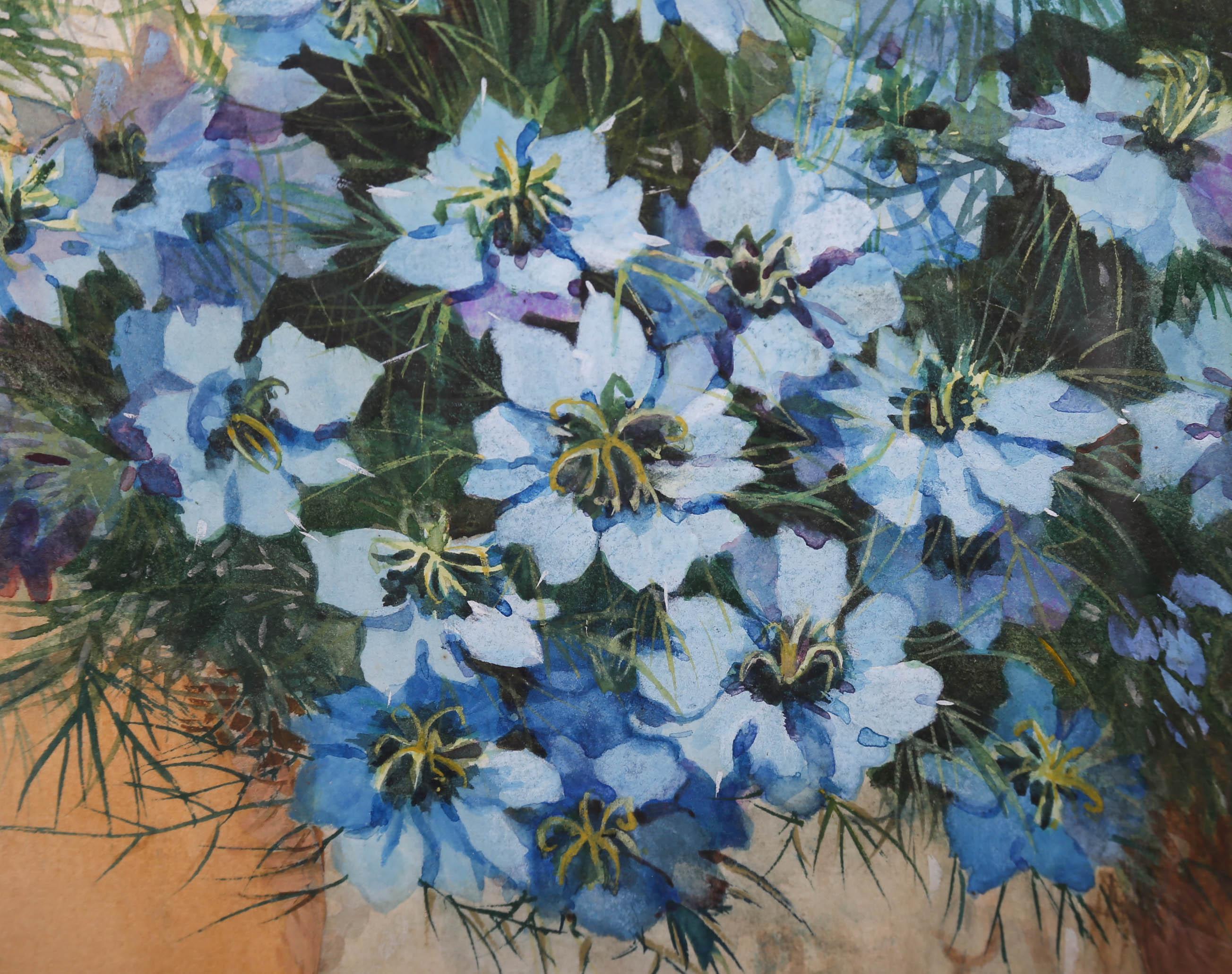 Dorcie Sykes (1908-1988) - Framed Watercolour, Love in a Mist 4
