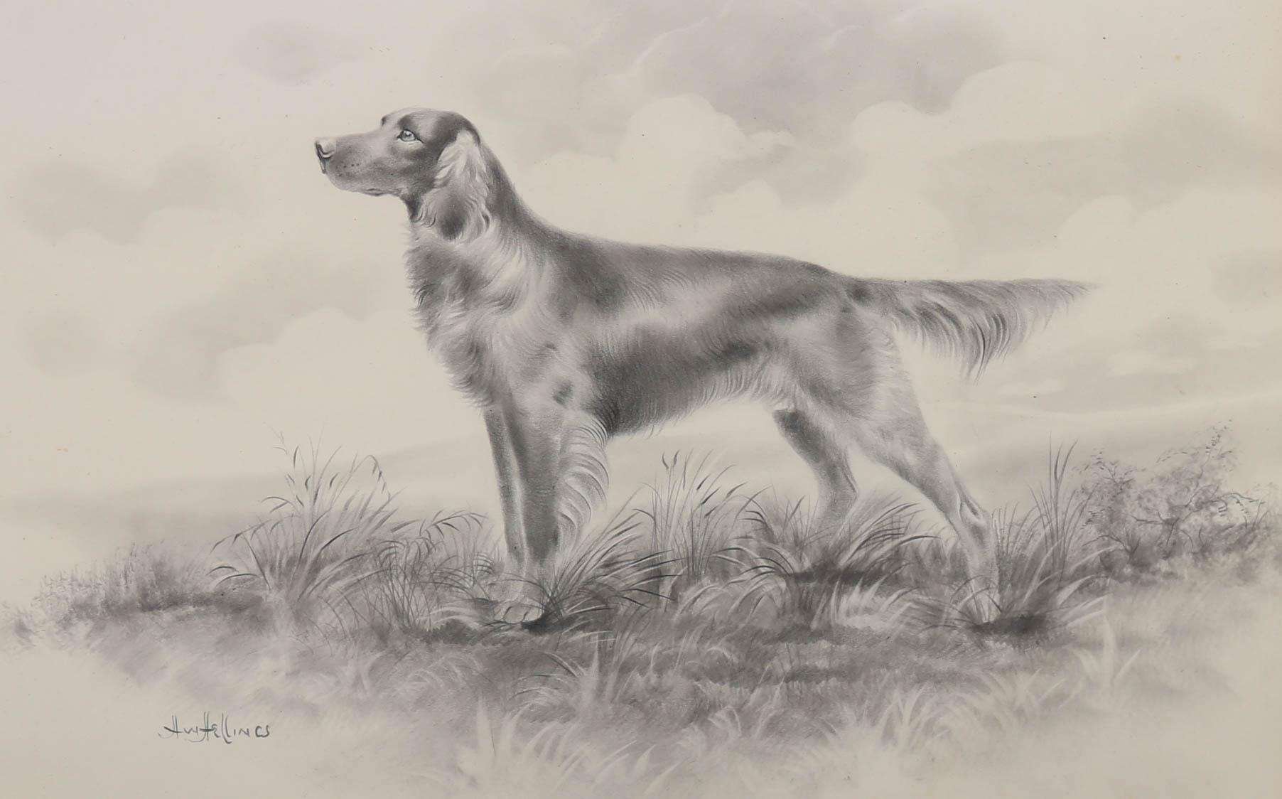 Herbert Wynn Hellings (1873-1948) - Dessin au graphite encadré, The Irish Setter 1