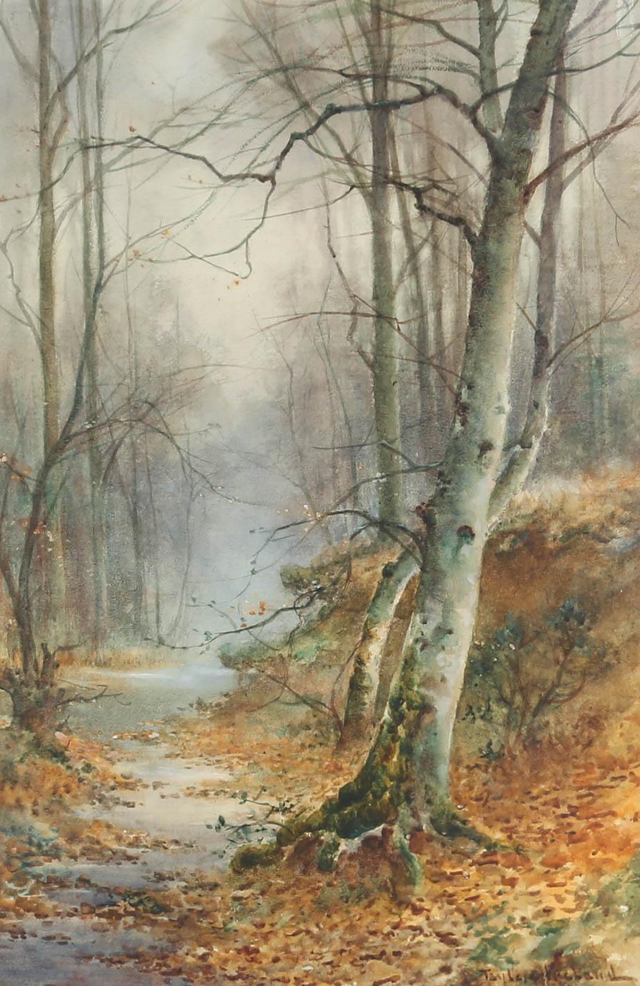 Thomas Ireland (fl.1880-1927) - Framed Watercolour, Silver Birch & Stream For Sale 1