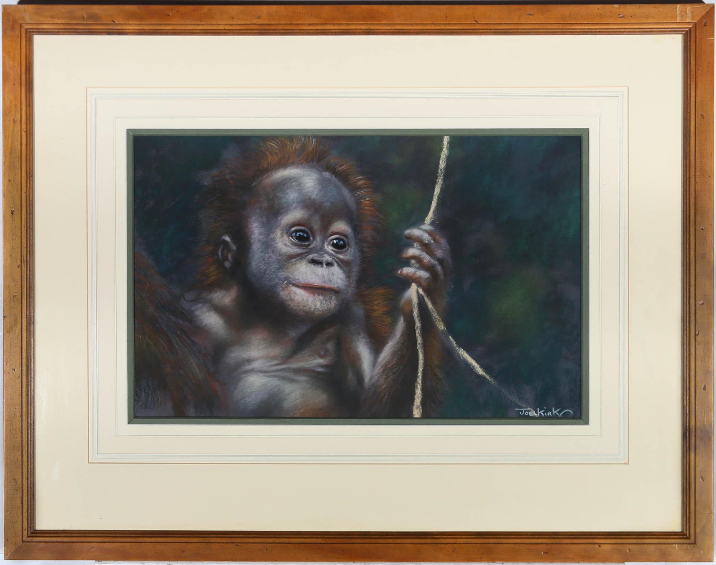 Joel Kirkin Animal Art - Joel Kirk (b.1948) - Framed 20th Century Pastel, Baby Orangutan
