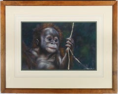 Joel Kirk (b.1948) - Framed 20th Century Pastel, Baby Orangutan