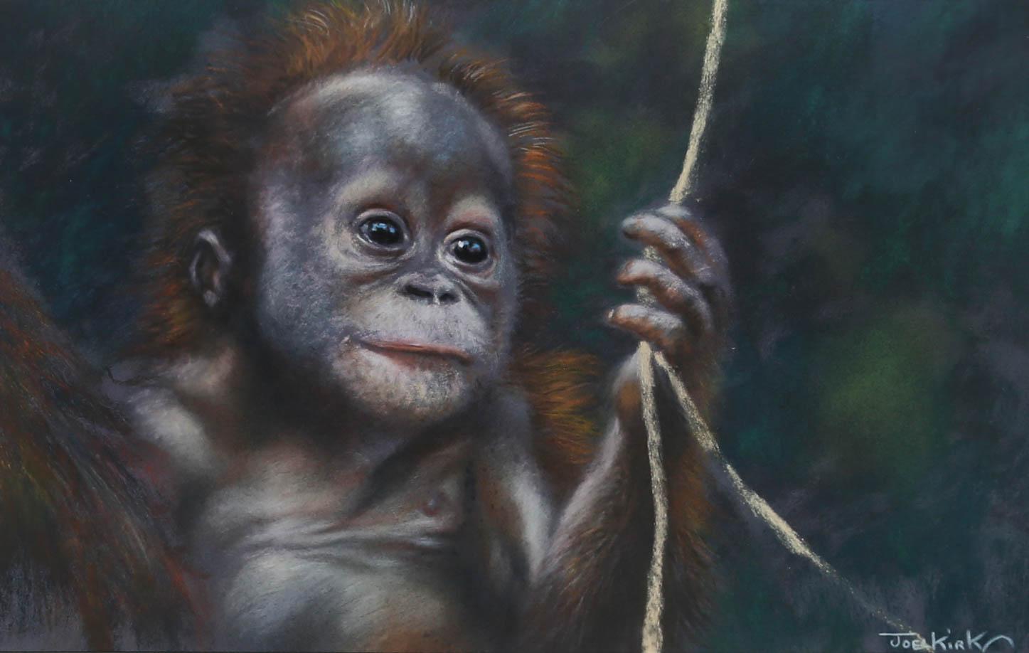 Joel Kirk (b.1948) - Framed 20th Century Pastel, Baby Orangutan - Art by Joel Kirkin