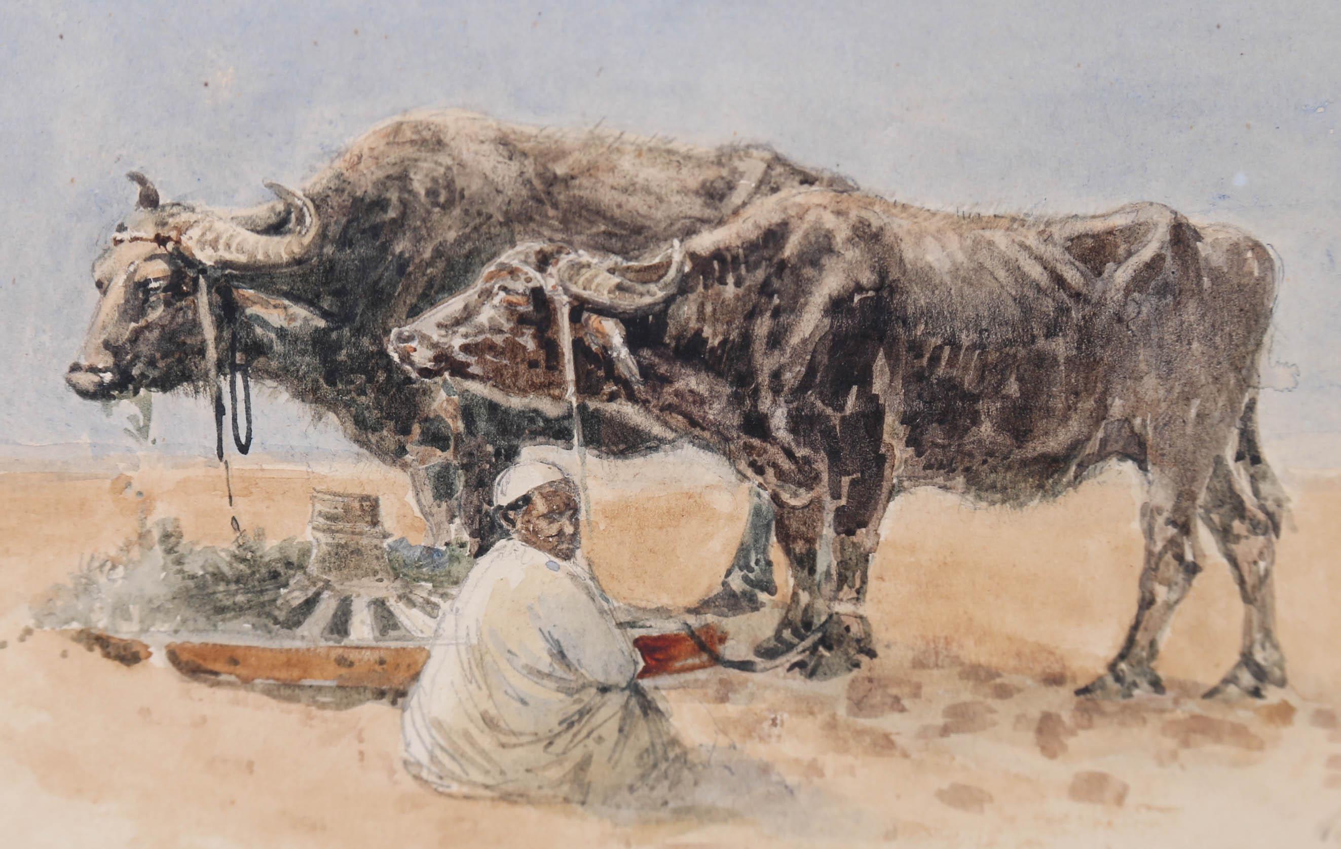 William Woodhouse (1857-1939) - Framed 1889 Watercolour, Oxen in the Desert For Sale 4