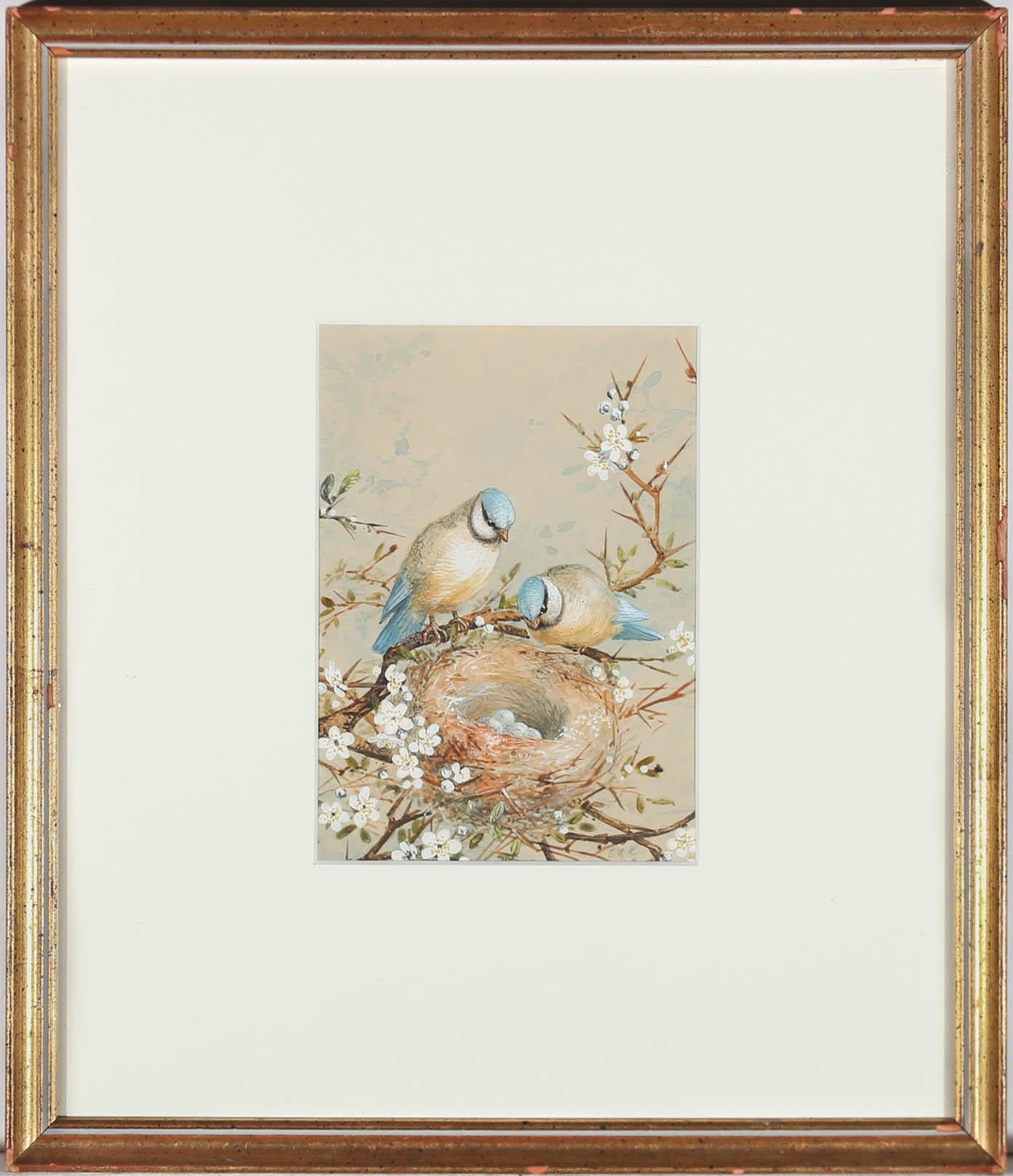This exquisite watercolour depicts an engaging study of two blue tits, perched over a fragile nest of eggs. Barbed hawthorn and scent blossom ties the scene together with gentle touches of body colour picked up in the birds plumage and delicate
