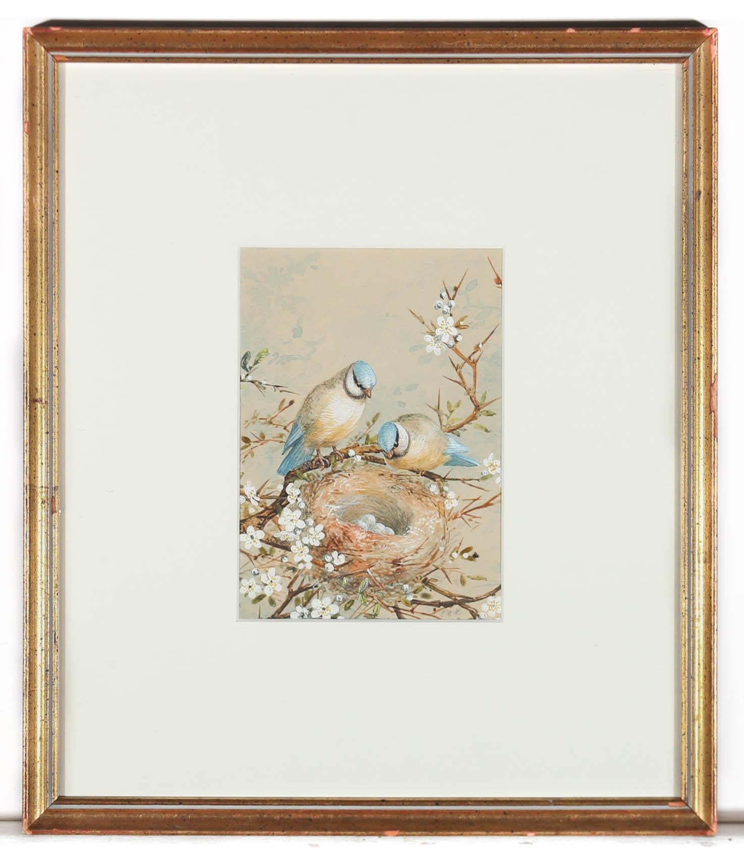E. A. Rowlendson - Gerahmtes Aquarell des 19. Jahrhunderts, verschachtelter blauer Tit im Angebot 2