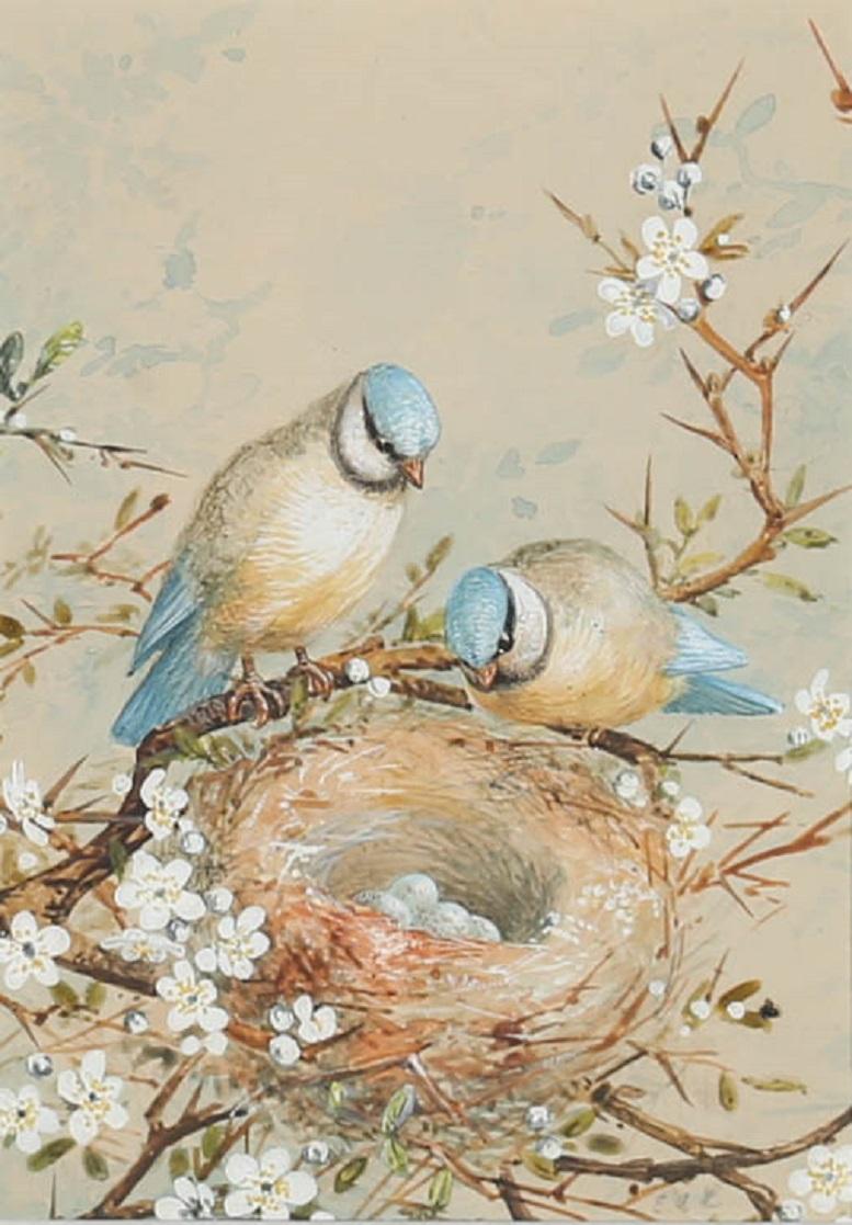 E. A. Rowlendson - Framed 19th Century Watercolour, Nesting Blue Tit For Sale 1