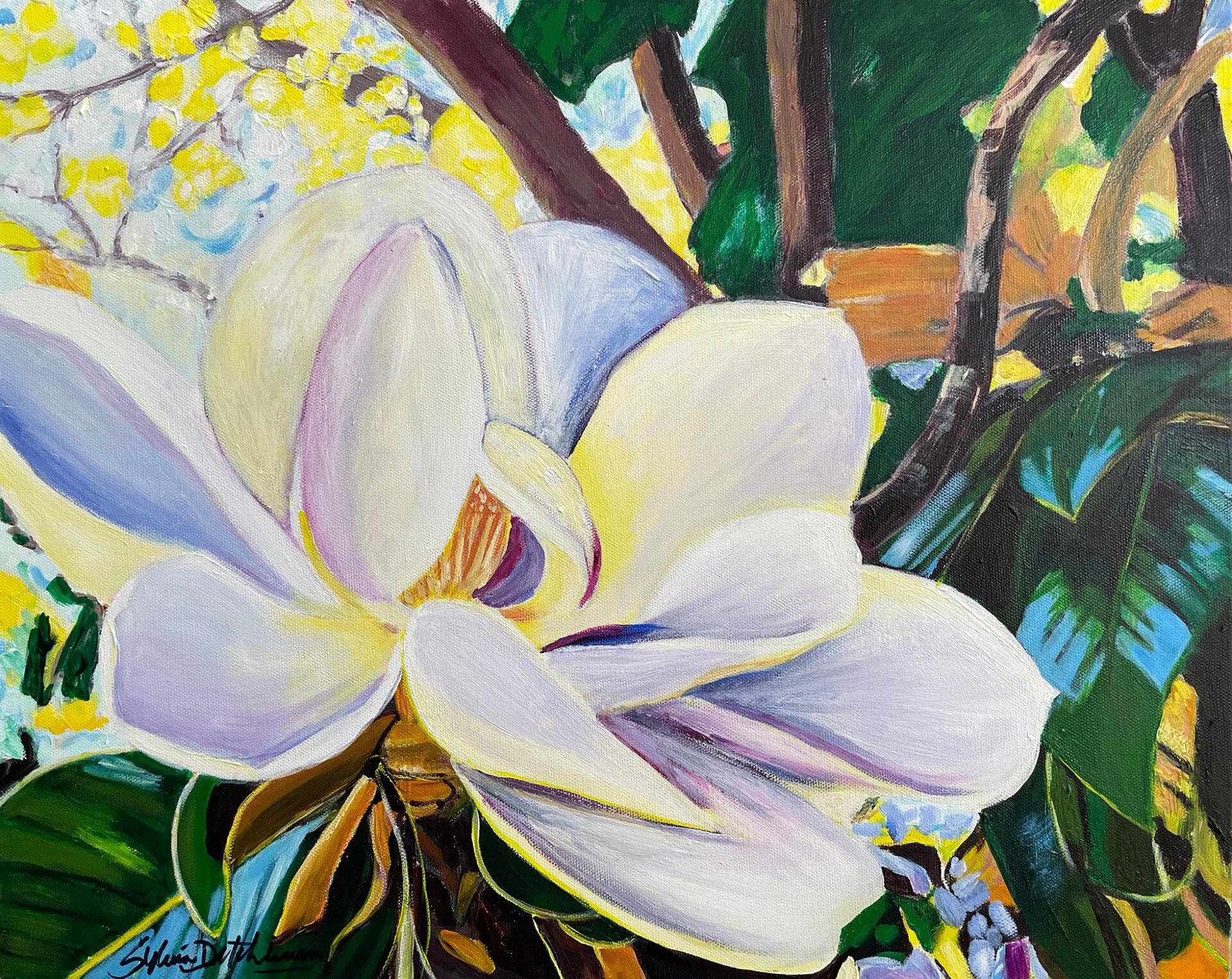 White Magnolia - Art by Sylvia Ditchburn