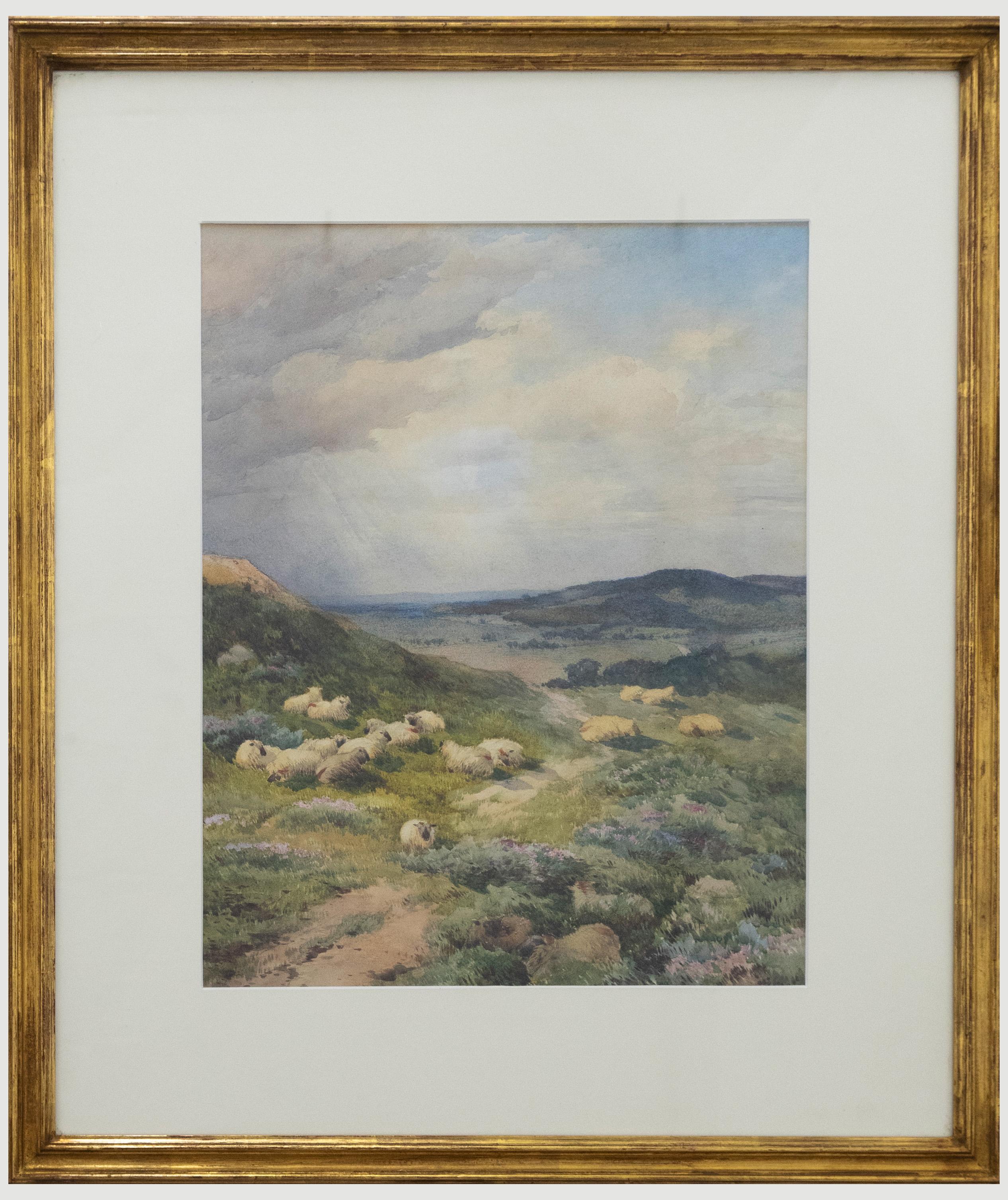 Unknown Landscape Art - Framed Late 19th Century Watercolour - Sheep on the Hillside