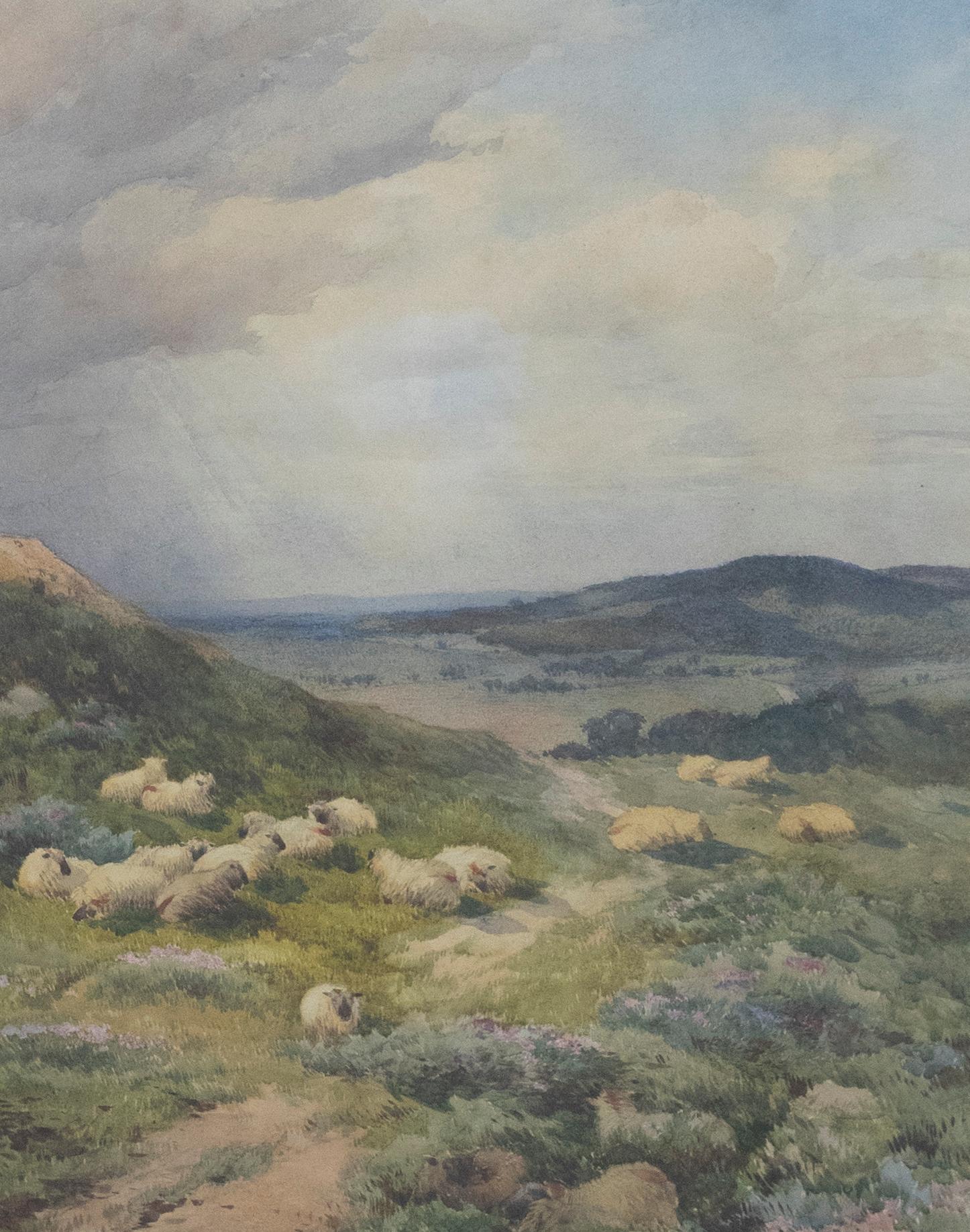 Framed Late 19th Century Watercolour - Sheep on the Hillside 1