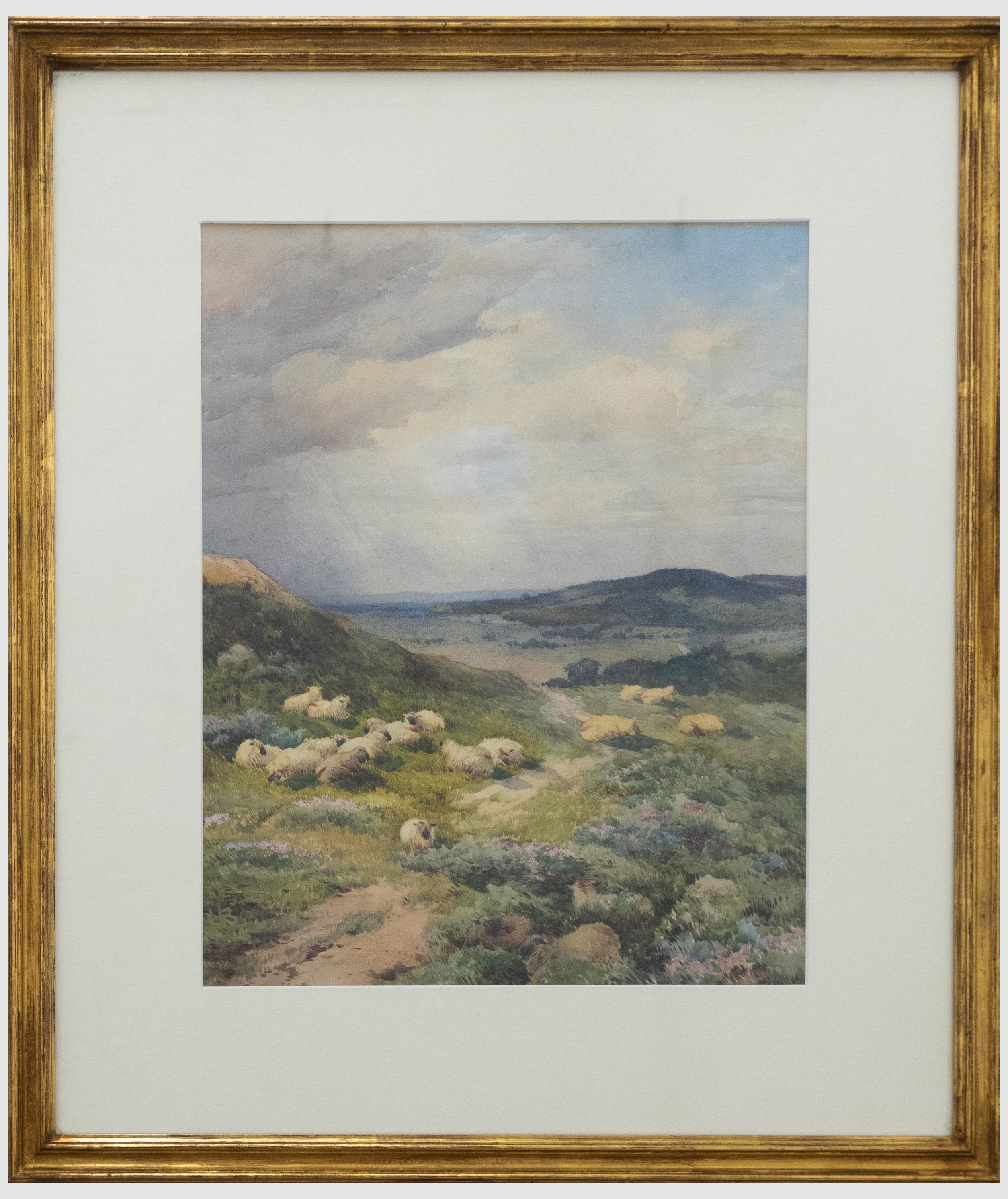 Magnifique aquarelle du XIXe siècle représentant un troupeau de moutons robustes assis au milieu de fougères et de bruyères sur une colline pittoresque. L'aquarelle est bien présentée dans un cadre blanc et doré. Non signée. Sur le papier.