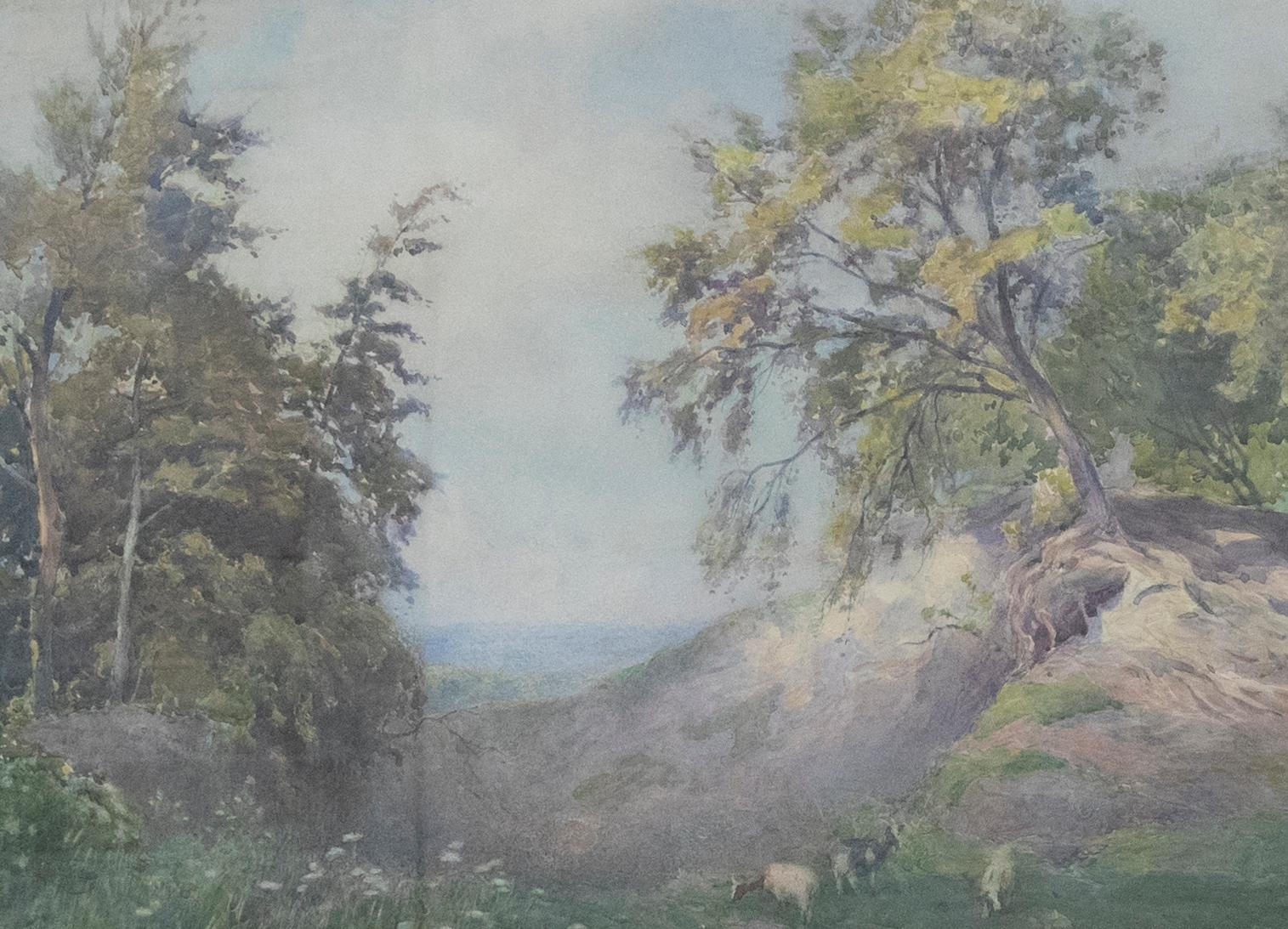 Max Ludby RI, RBA (1858-1943) - Framed Watercolour, A Surrey Woodland For Sale 1