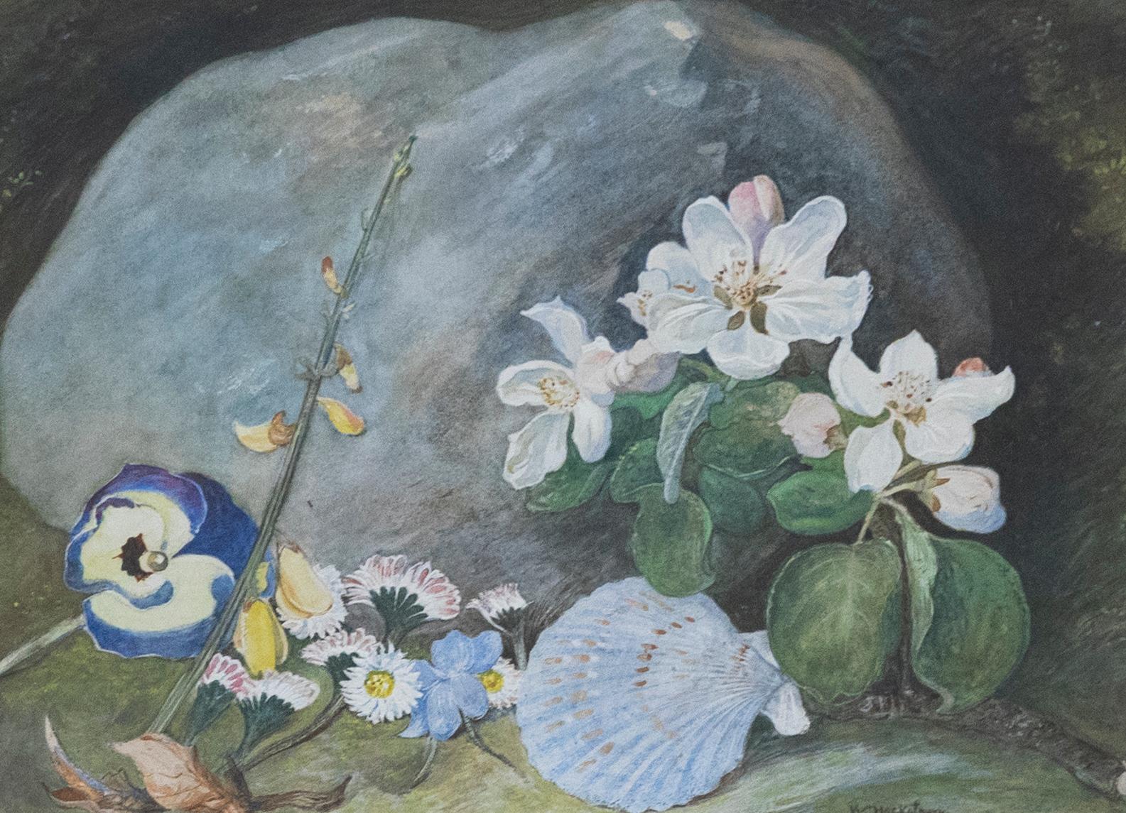 H. Hackotoun  - 1885 Watercolour, Pansy and Seashell For Sale 3