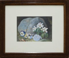H. Hackotoun  - 1885 Watercolour, Pansy and Seashell