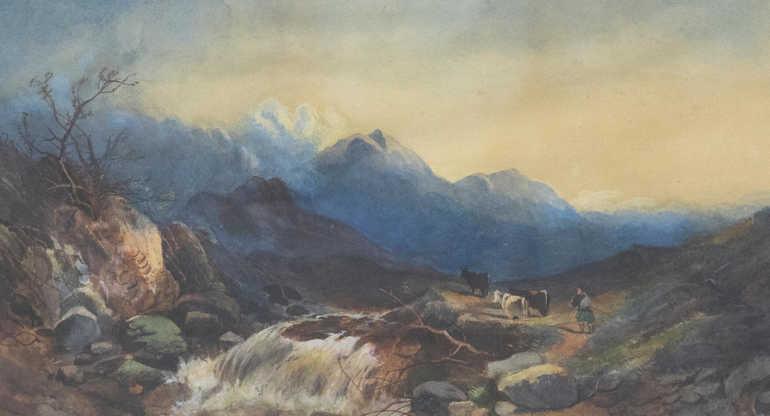 Late 19th Century Watercolour - Cows by the Highland Stream - Art by Unknown