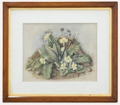 Antique Framed Late 19th Century Watercolour - Wild Primrose