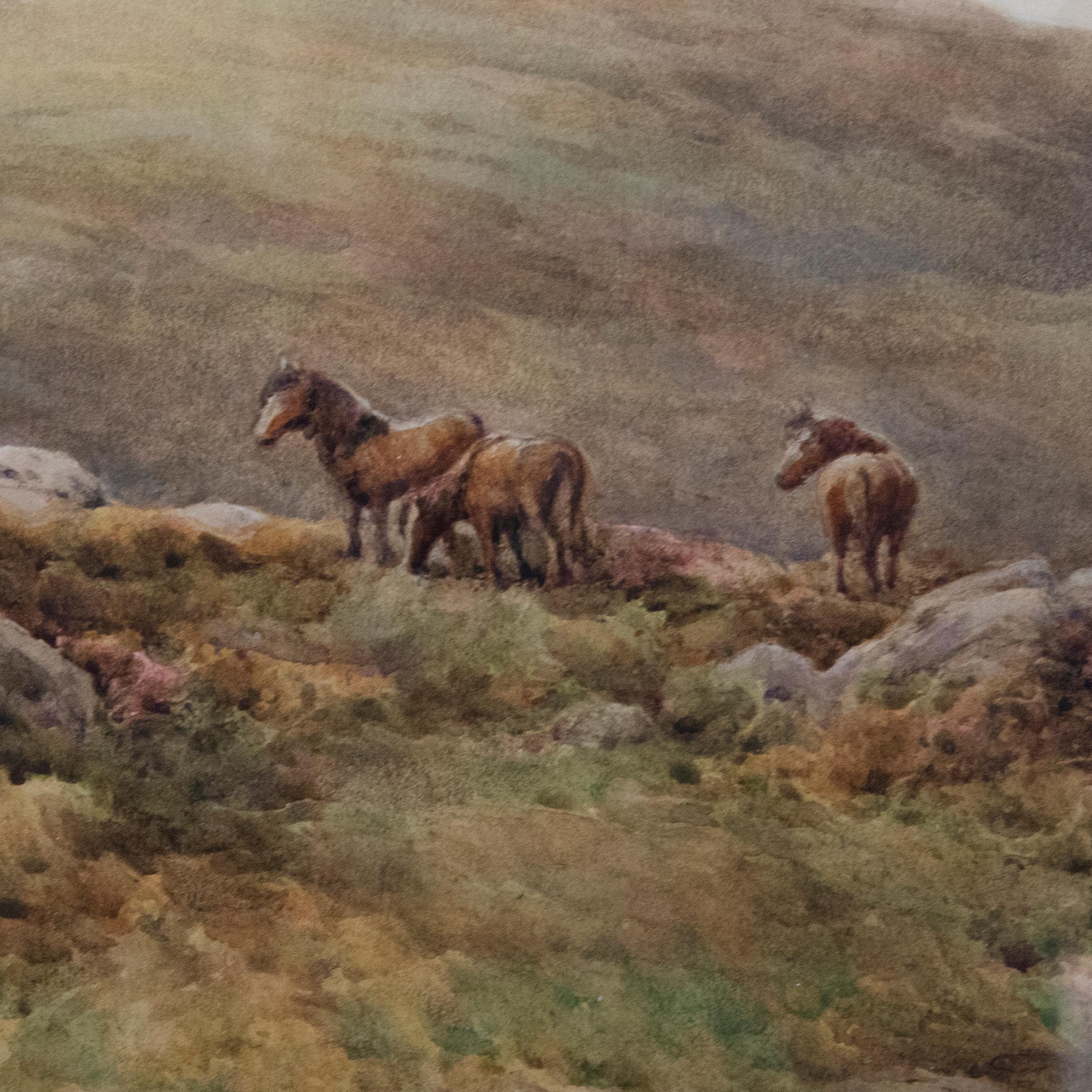 W. Johns - Framed Early 20th Century Watercolour, Ponies on Leedon Tor For Sale 1