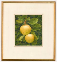 Nigel Ashcroft (b.1951) - 1986 Watercolour, Autumn Fruit, Apples