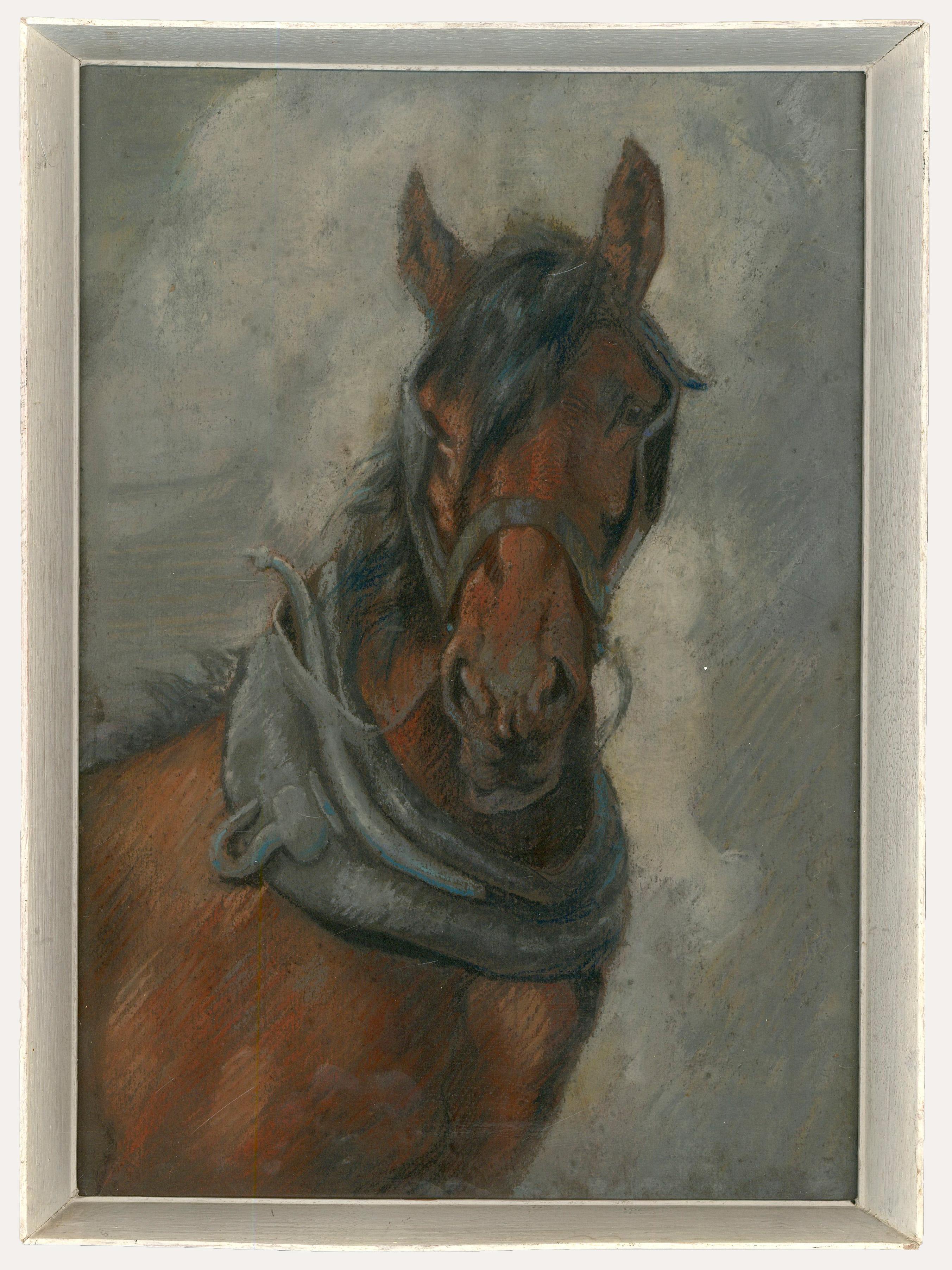 Unknown Animal Art - Framed Early 20th Century Pastel - Head Study of a Workhorse
