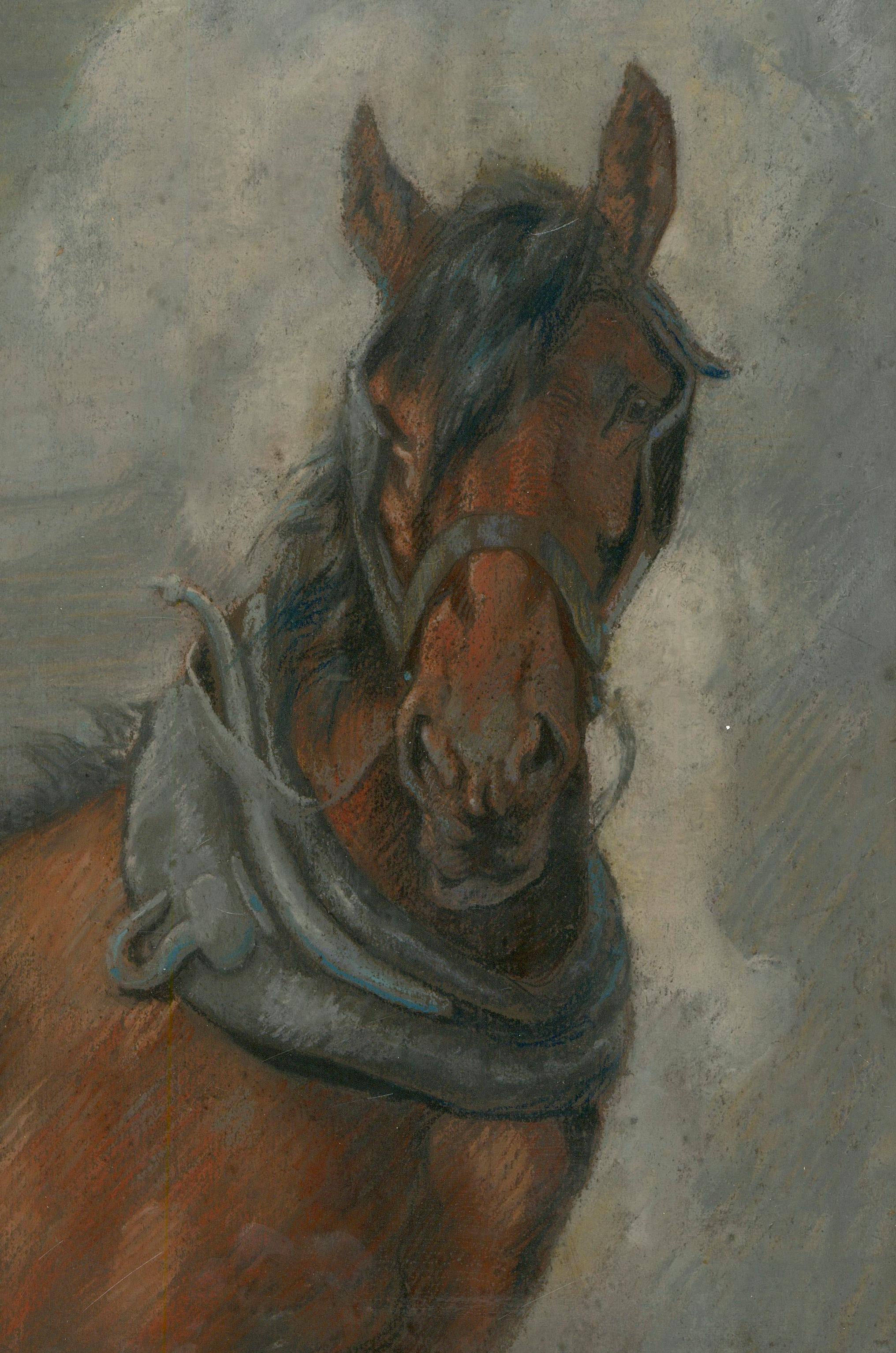 Framed Early 20th Century Pastel - Head Study of a Workhorse - Art by Unknown
