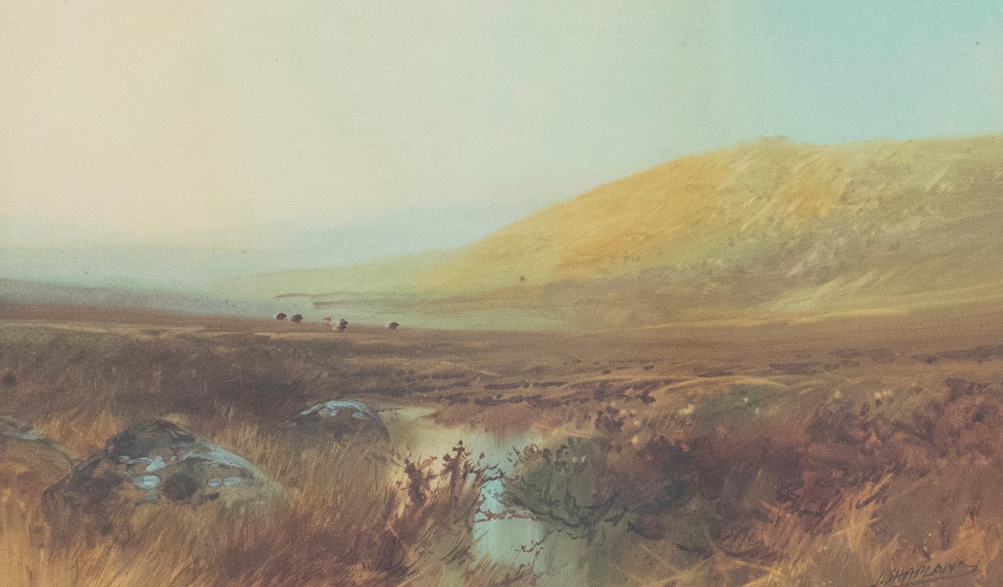 John Shapland (1865-1929) - Framed Watercolour, Moorland Grazing For Sale 1