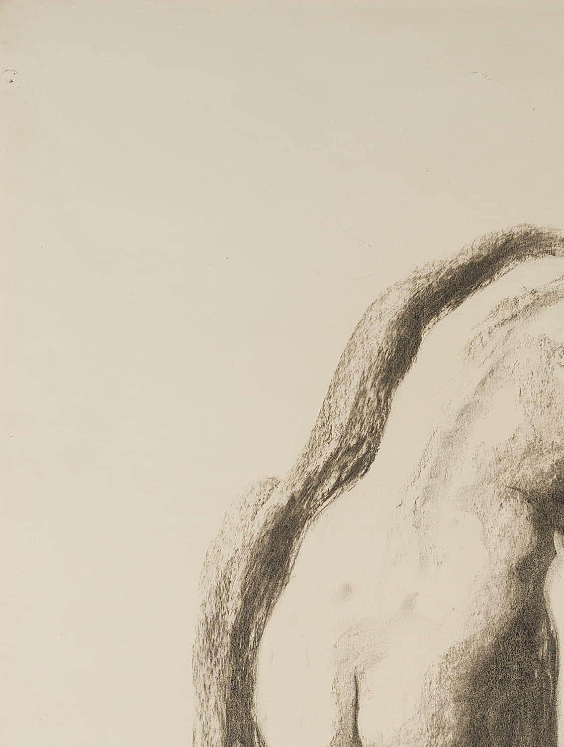 Carl August Walther (1880 Leipzig - 1956 Dresden): Female back nude, bent forward, 20th century, Charcoal

Technique: Charcoal on Paper

Stamp: Lower left Estate stamp, Carl Walther. Dresden. 20th century

Inscription: Lower right monogrammed: