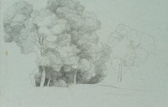 Antique Sketch of a piece of forest