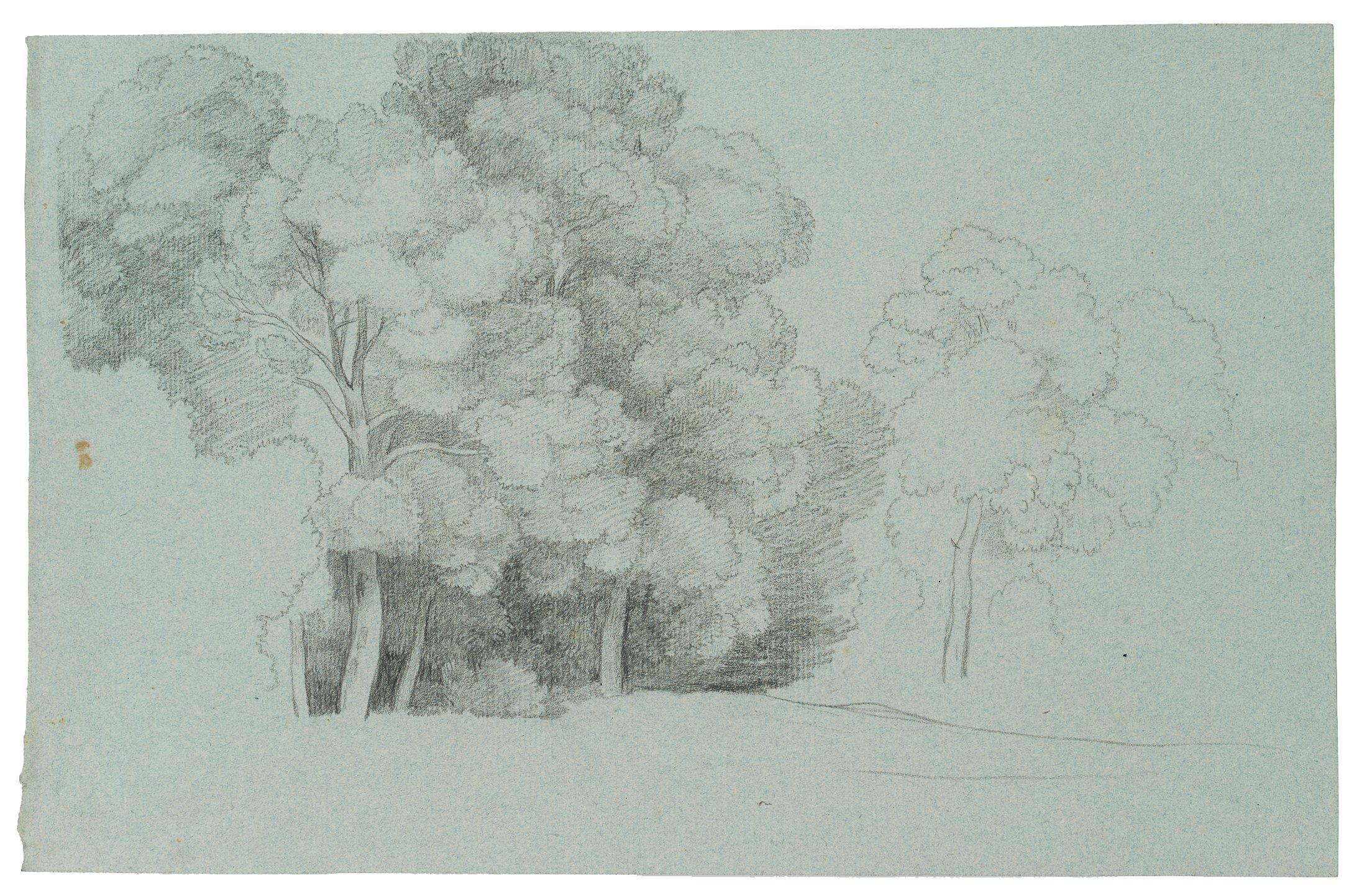 Sketch of a piece of forest - Art by George Augustus Wallis