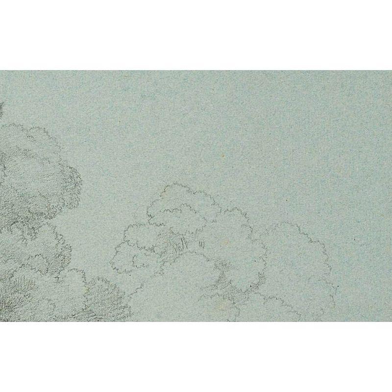George Augustus Wallis (1761 Merton (London) - 1847 Florence): Sketch of a piece of forest, 19th century, Pencil

Technique: Pencil on Paper

Date: 19th century

Description:  Watermark: 