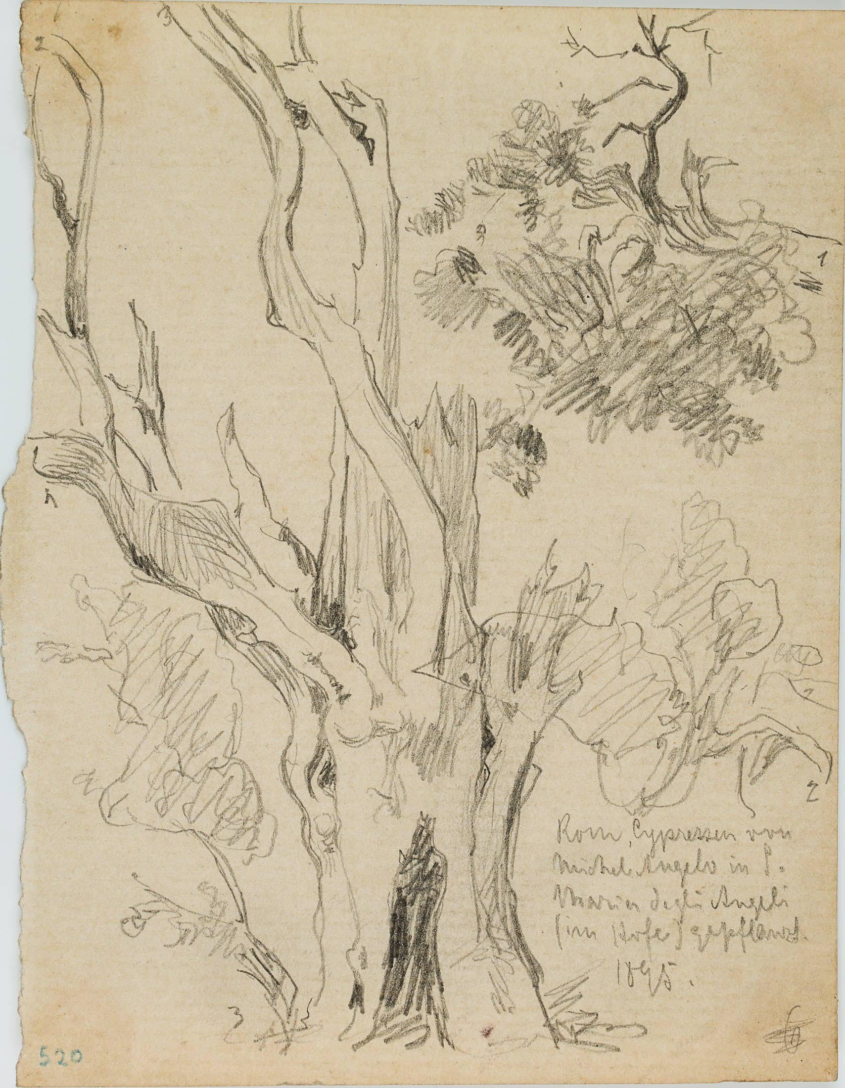 Cypresses of Michelangelo, Rome