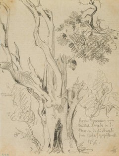 Cypresses of Michelangelo, Rome