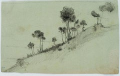 Pine trees on a slope