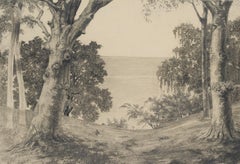 Paysage avec arbres au bord de la mer